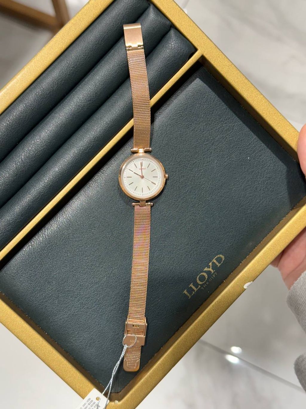 e587d641-7a25-41a1-9350-62e5cecf0c66