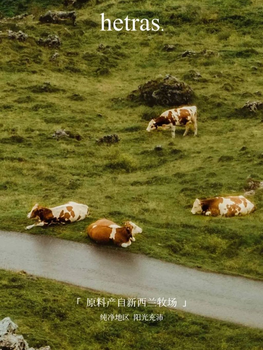 87e67258-92bc-4e4a-898b-5f68b85ad449