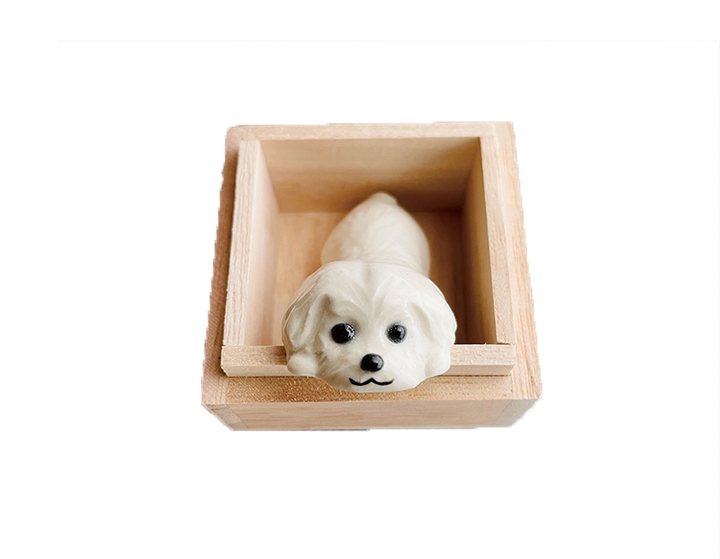 馬爾濟斯趴姿1.png
