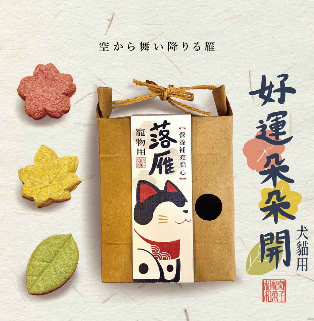 落雁宣傳圖.jpg