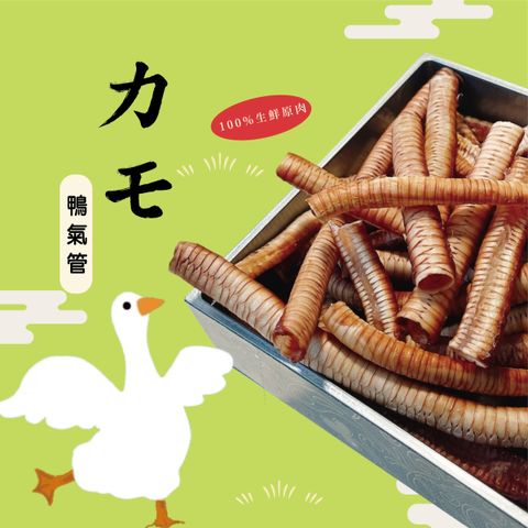 經典盒圖片_工作區域 1 複本 9