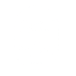 ∎ Cosmic partner crystal ✷ 水晶 / 礦石 / 選品