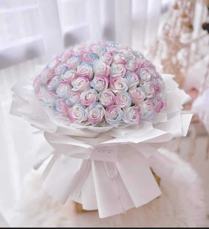 MEITU_20241116_001924092