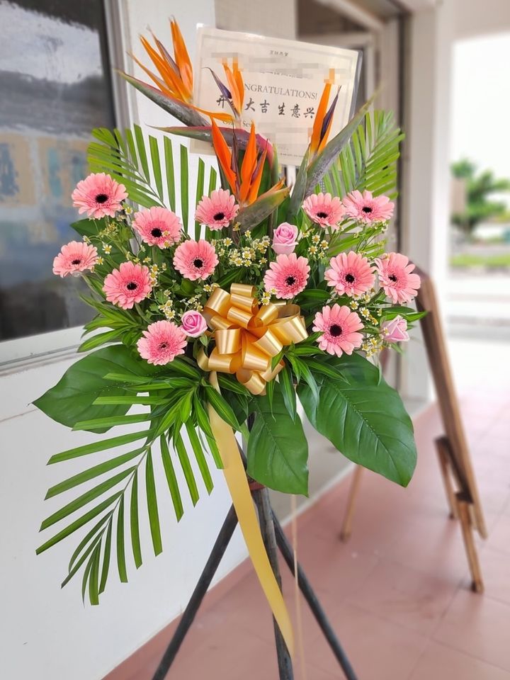 Opening Flower Stand 67