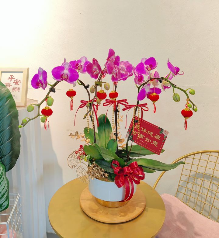 Phalaenopsis Orchid Arrangement 13