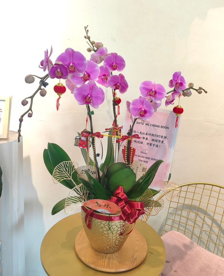 Phalaenopsis Orchid Arrangement 15_edit_164637959883809