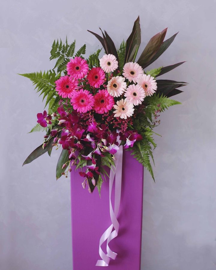 Opening Flower Stand 50