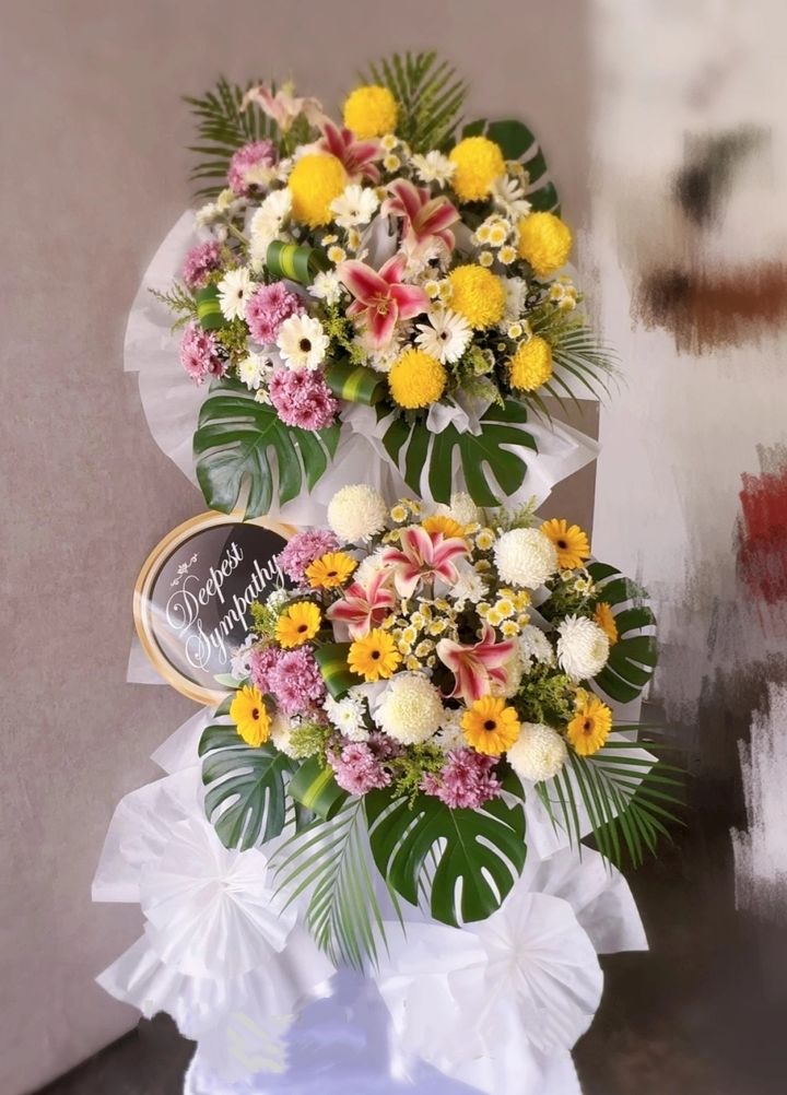 MEITU_20250318_025421432