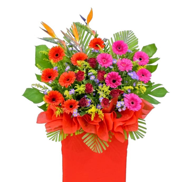 Opening Flower Stand  57