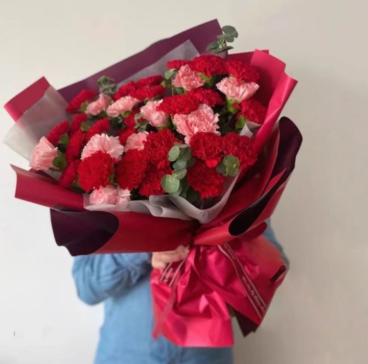 Mix Colour Carnation 33 stalks
