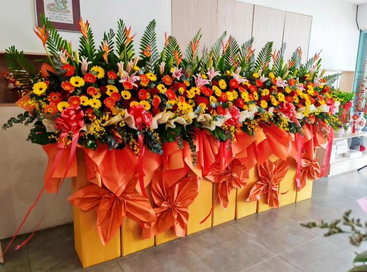 Premium Opening Flower Stand