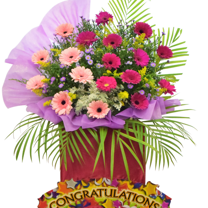 Opening Flower Stand 52
