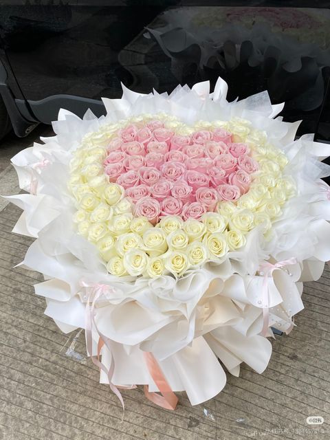 Camera_XHS_17700537861461040g2sg31alf4idvn2705ofcotck1nvanhieqrg