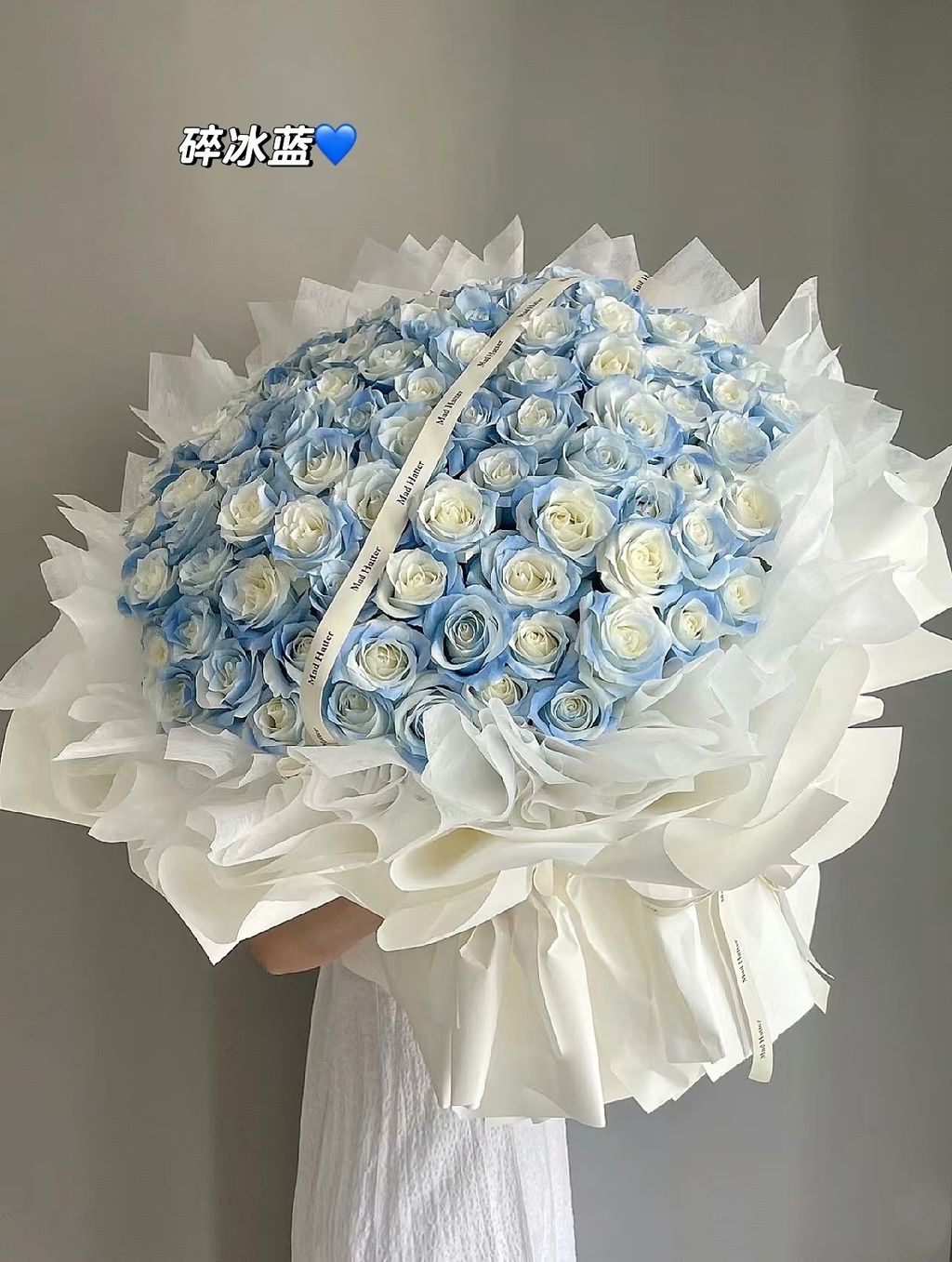 MEITU_20260203_014635540