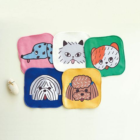 421244422_24753294574284697_716288582178655994_n