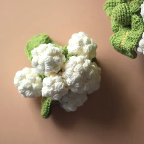 白花椰菜
