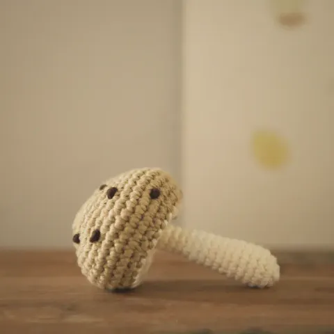 咖蘑菇