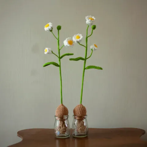 球根小白花