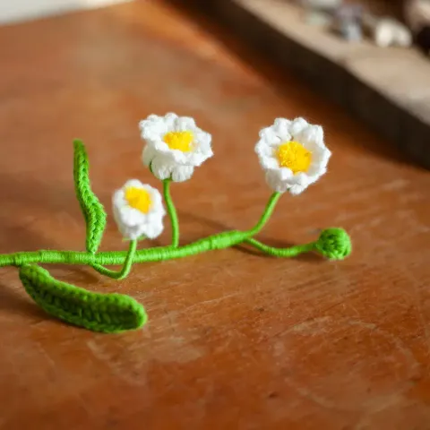 球根小白花 1