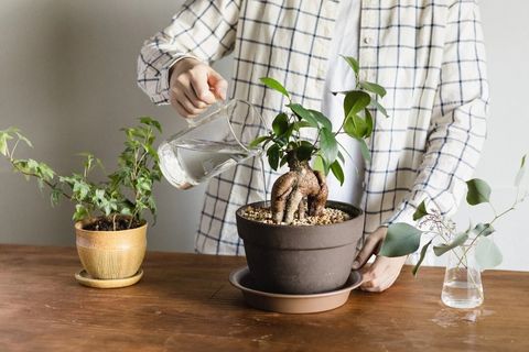 505401278_30075494842064617_2458327201954975362_n