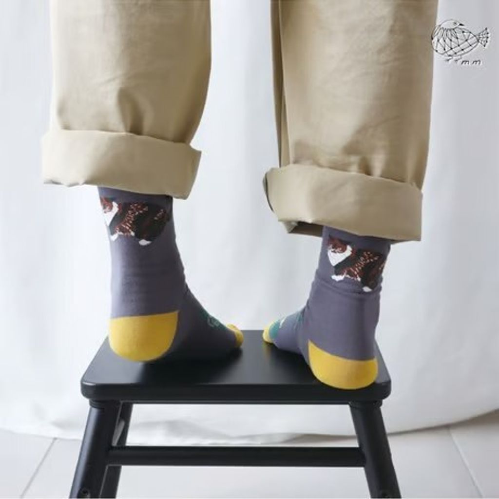 556370799_31783251951288889_2915216462521119014_n