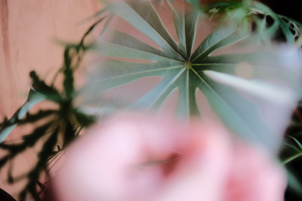 524145521_30767974882816606_2146063105771085690_n