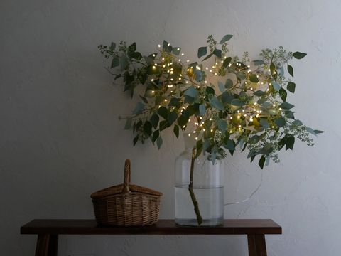 495380744_29652096501071122_4287313727103836706_n