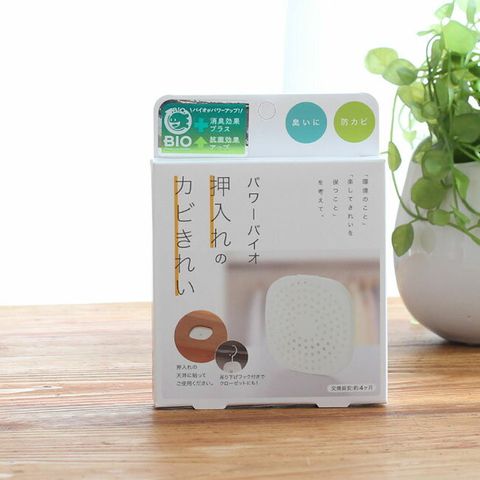 497823389_29727979923482779_7290845145737545498_n