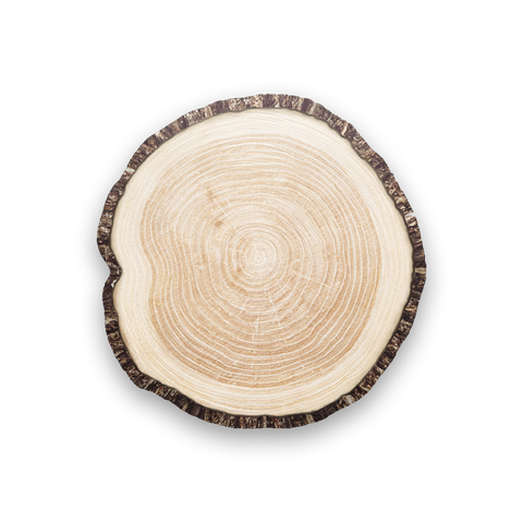 growth ring_1