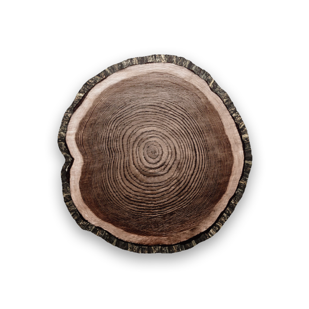 growth ring_2