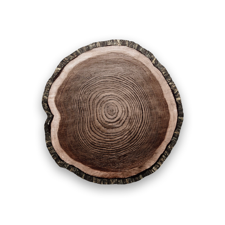 growth ring_2