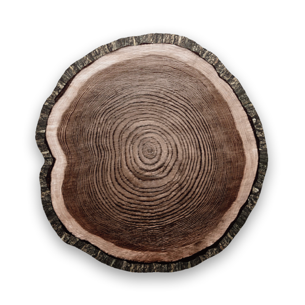 growth ring_4