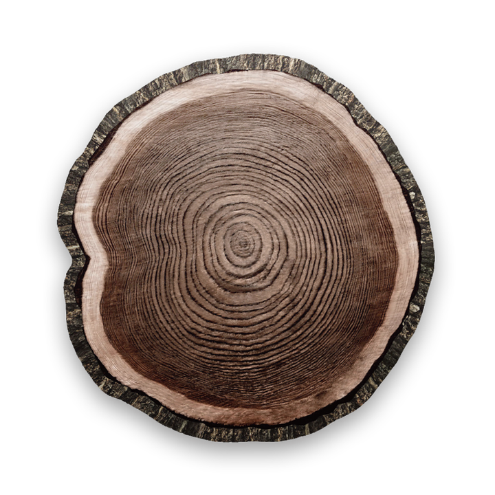 growth ring_4
