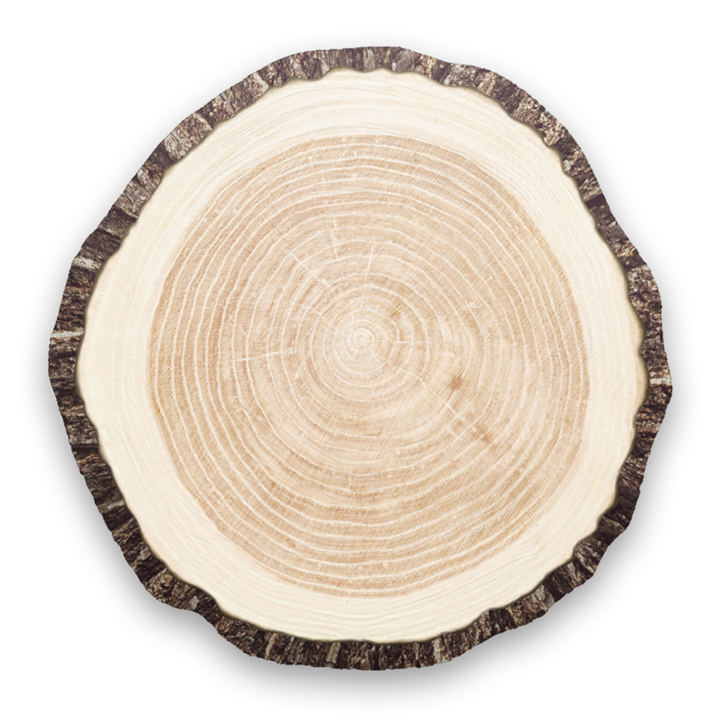 growth ring_5