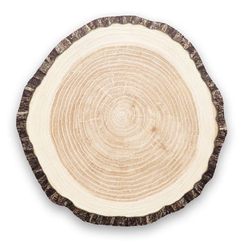 growth ring_5