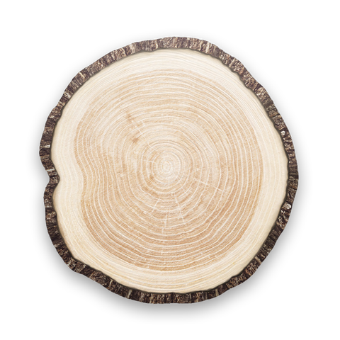 growth ring_3
