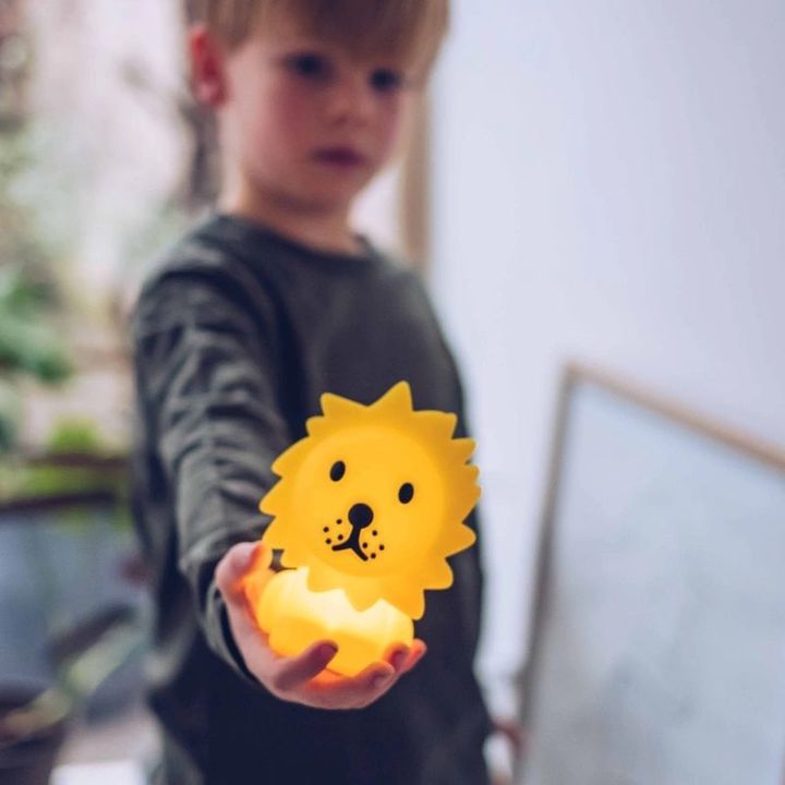 bundle_of_light_-_lion2