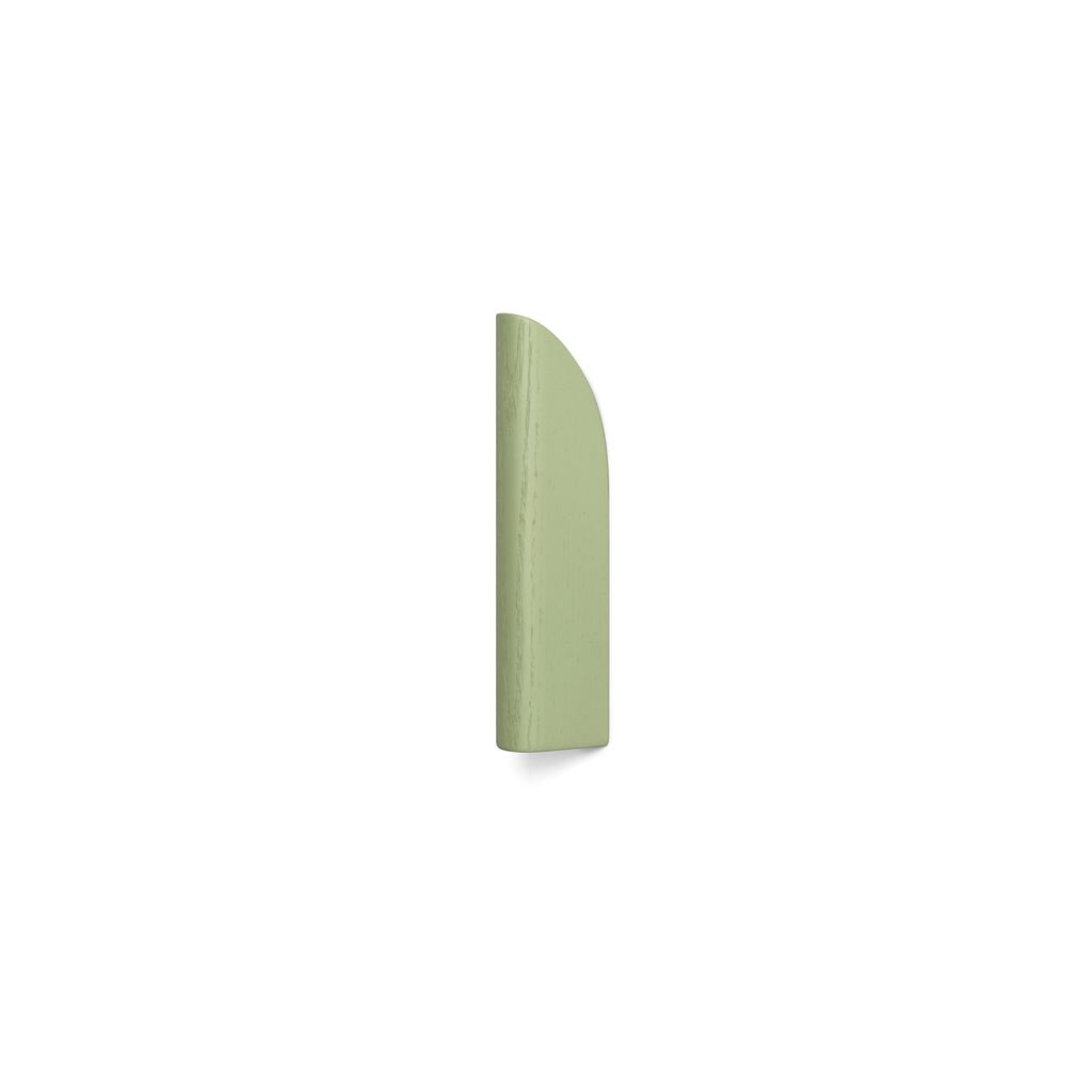 Slide+hook+-+Sage+1+©Esaila