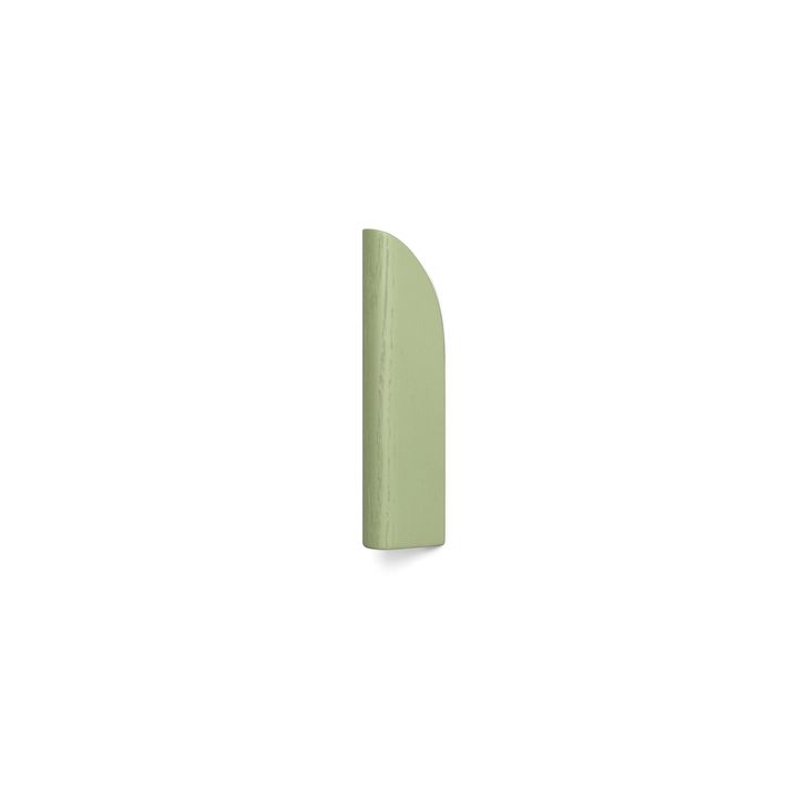 Slide+hook+-+Sage+1+©Esaila