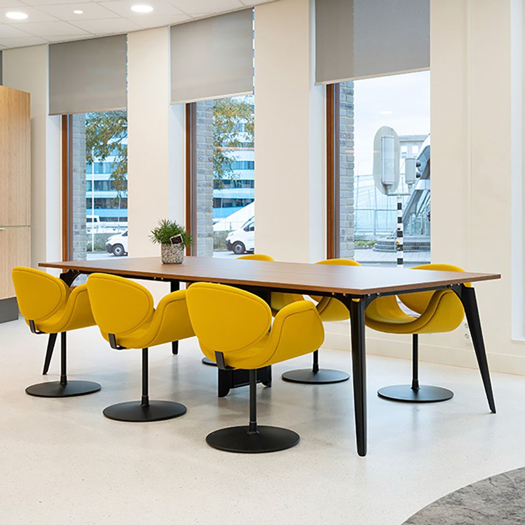 LittleTulip_7_1018x652px正