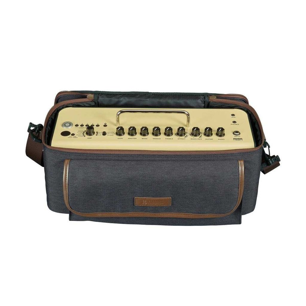 thrbg1_carry_bag_143946_2400_2