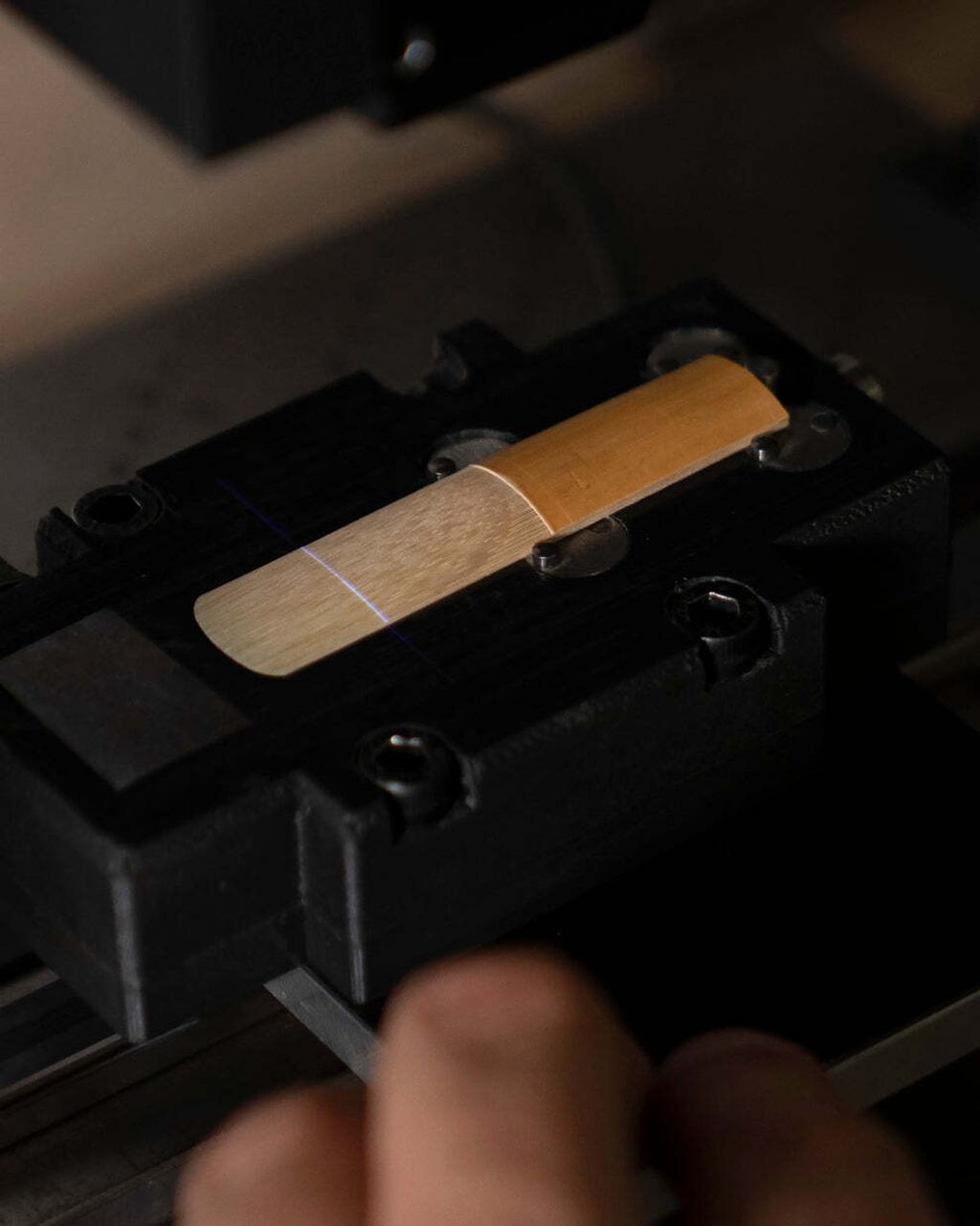 DSC01199web_3914db6c-5db8-45cd-9ffd-6ff4852690bc