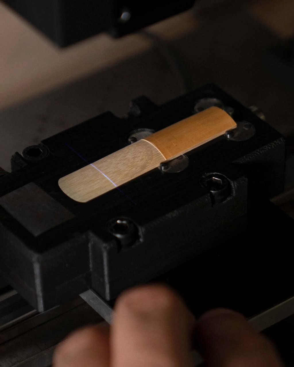 DSC01199web_06129d38-4c42-4866-8ff5-737338ebacef