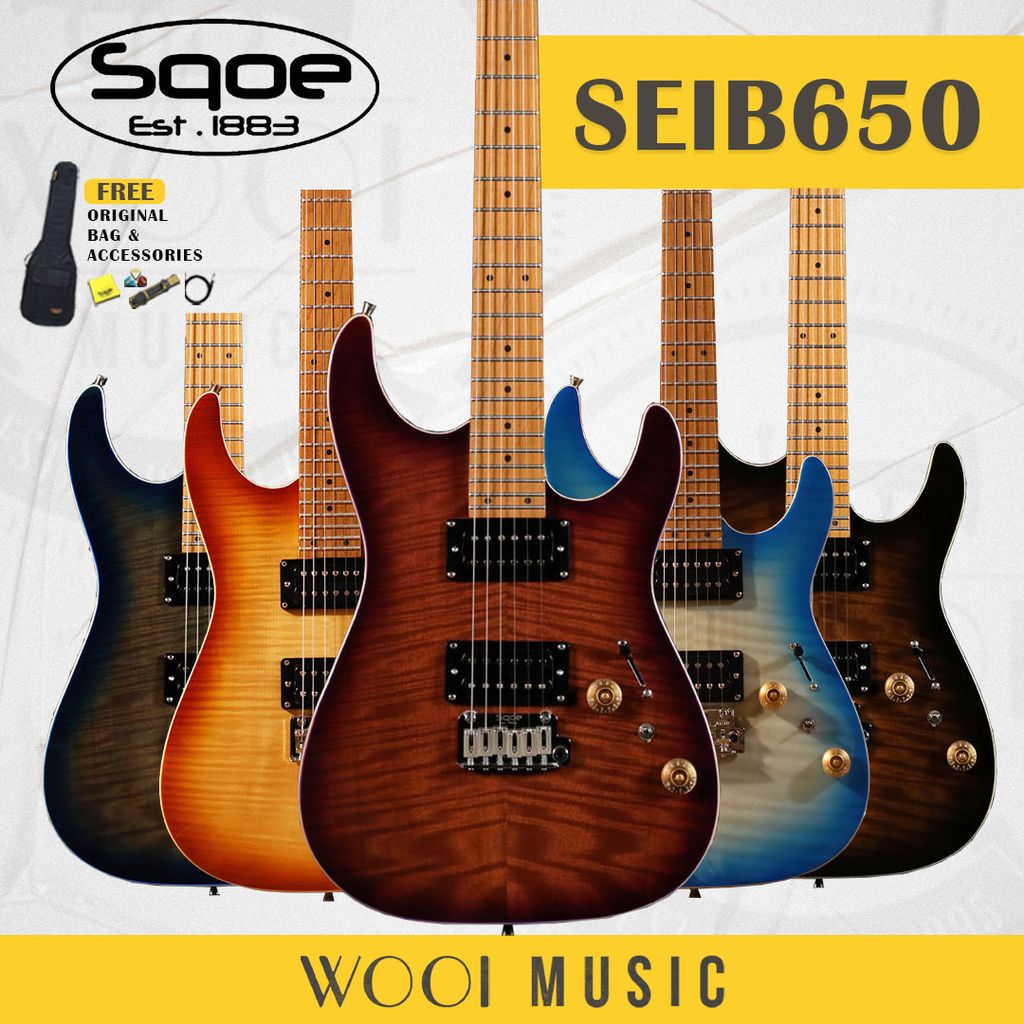 SQOE GUITAR SEIB650 VARIATION