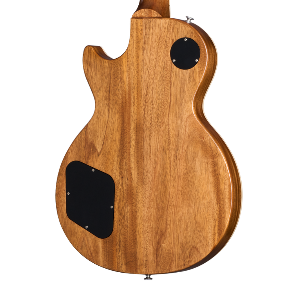 LPS6F01FBNH1_backbody