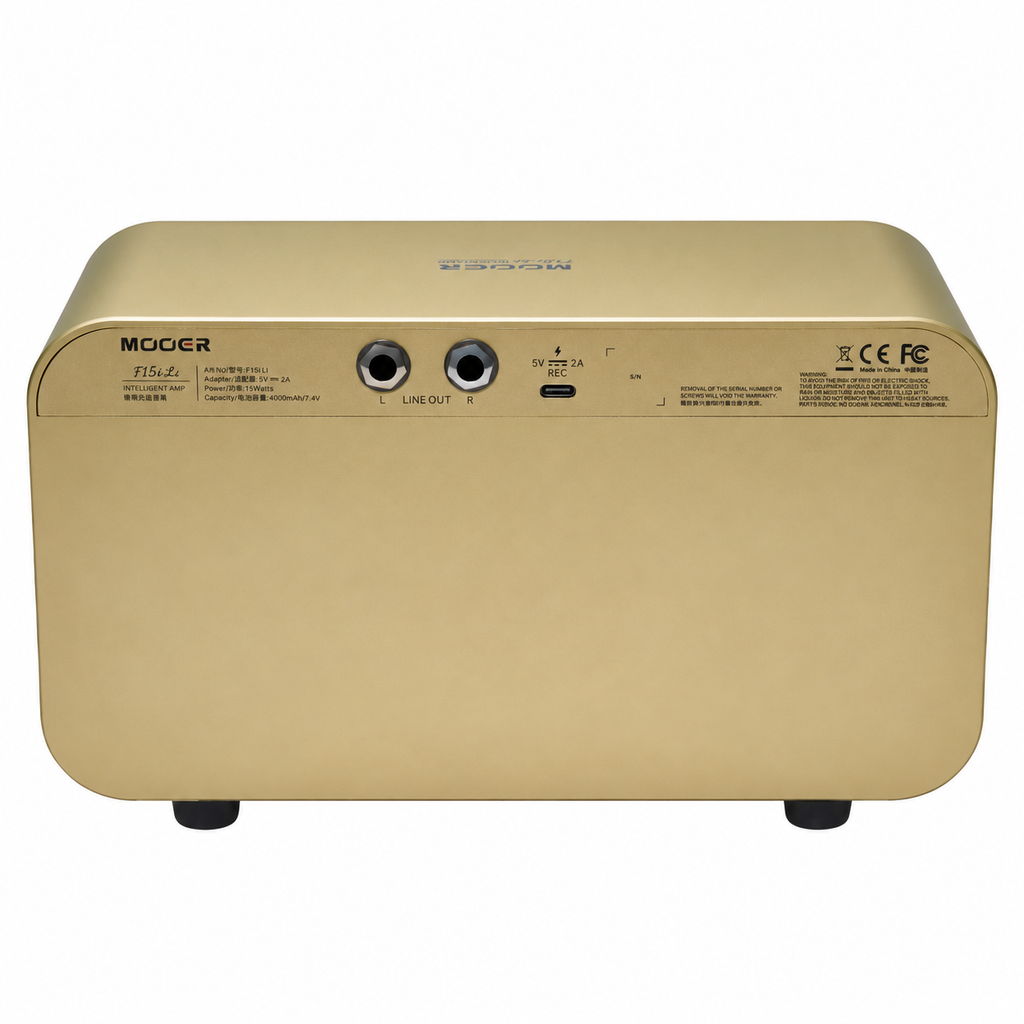 Gold amplifier rear view