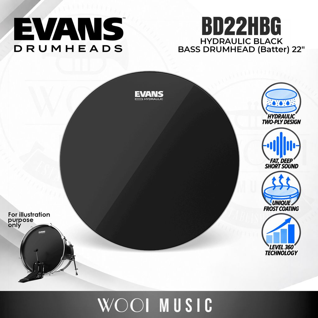 EVANS BD22HBG - CP
