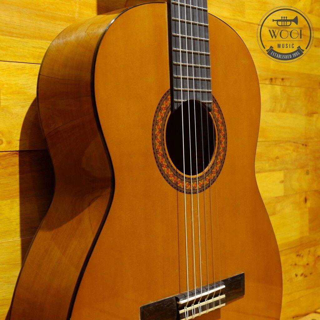 Yamaha C40Ii Chitarra Classica - Chitarra 4/4 Classica In Legno - 6 Corde  In Nylon, Naturale & Cascha 12 Plettri Per Chitarra, Chitarra Acustica  Classica, Chitarra Elettrica : : Strumenti Musicali