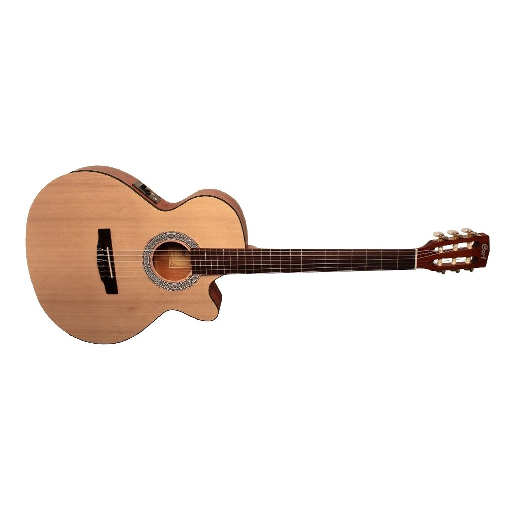 Cort CEC1-OP Thin-Body Acoustic-Electric Nylon String Guitar - Music  Collection and Dance Corner Canada, Canada, Newfoundland, NL