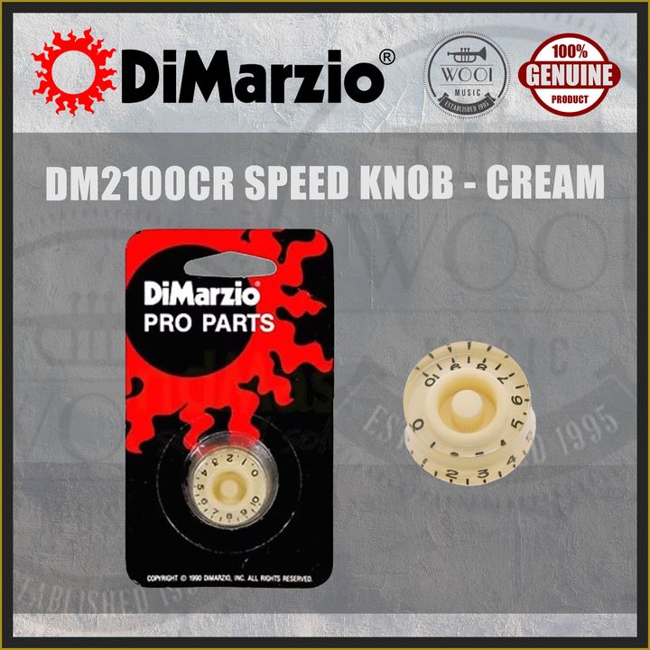 DM2100CR COVER.jpg